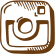 instagram icon